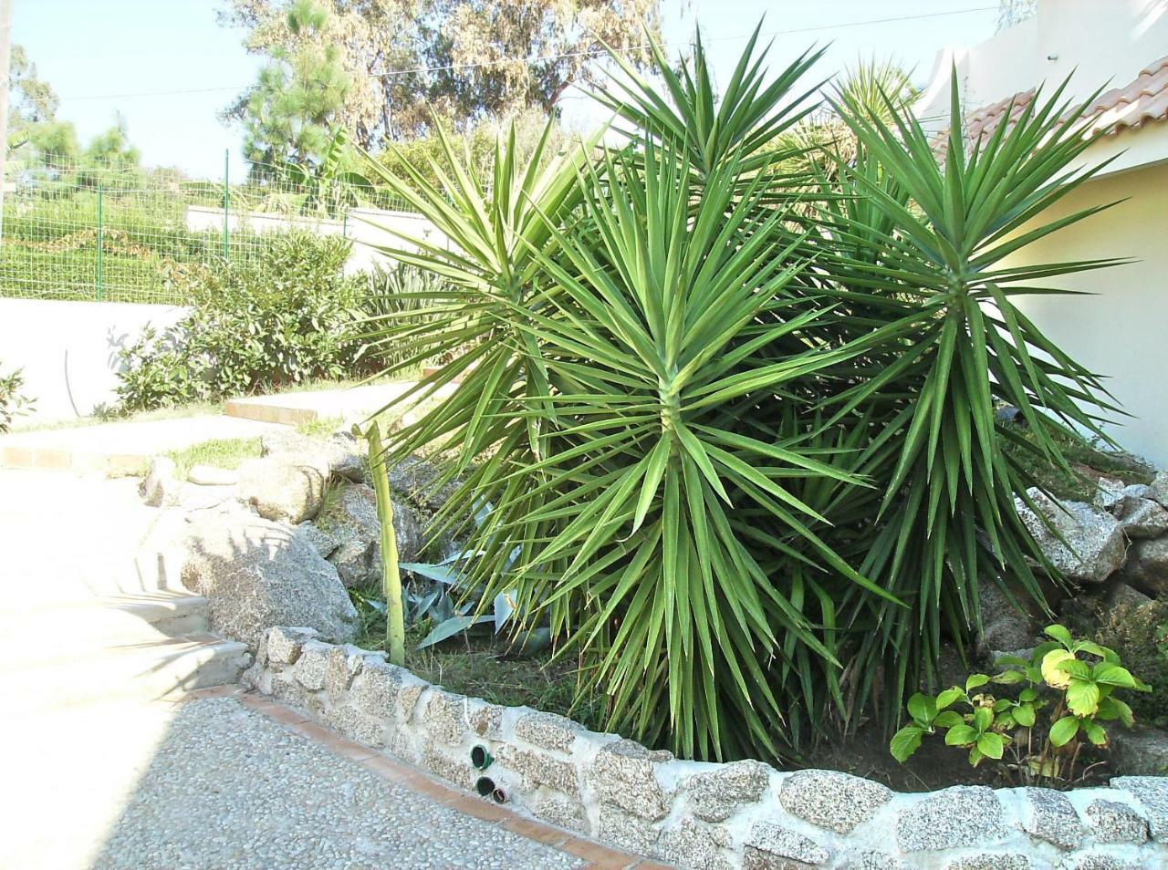 Residenza Marinella Aparthotel Zambrone Εξωτερικό φωτογραφία